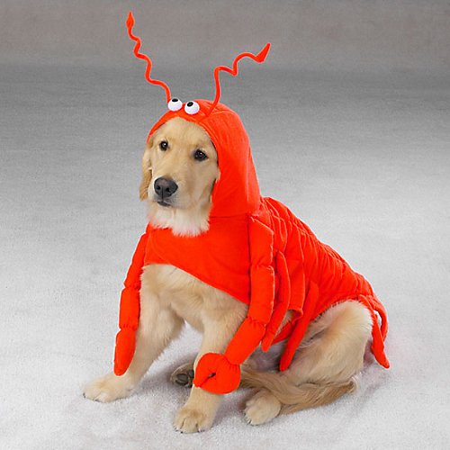 CASUAL CANINE LOBSTER PAWS DOG COSTUMES