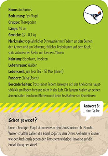 Moses 40212 50 Dinosaurier: Erkennen & Staunen! (Expedition Natur), White – Bild 4