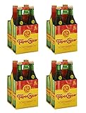 Topo Chico Sparkling Mineral Water, Twist of Grapefruit, 12 Fl Oz, 4 Count (Pack of 4)