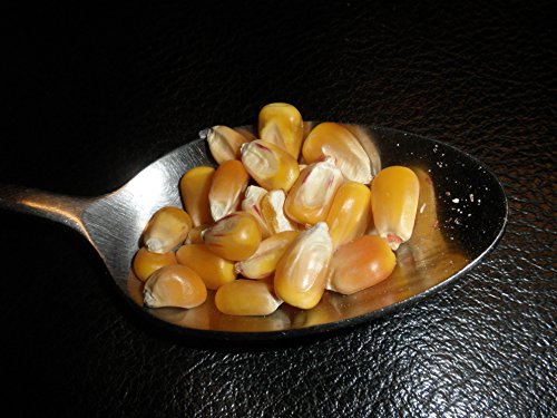 Whole Corn 2 Pounds Yellow USDA Certified Organic, Non-GMO, Bulk