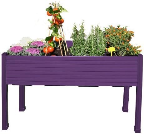Desconocido Mesa de Cultivo plástico Berenjena: Amazon.es: Jardín