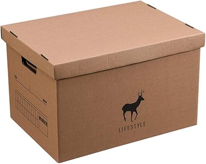 ZSTCO Paquete de 2 Cajas Decorativas con Tapa Caja de Oficina ...