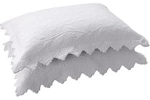 vctops 2-Piece Embroidered Cotton Quilted Pillow Shams Vintage Floral Decorative Pillow Covers Boho Pillow Cases Queen Size, White B