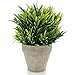 Velener Artificial Grass Potted Plant - Emerald Green Home Decor, Pumpkin Topiary Outdoor & Indoor Fall Plants Home Decor Accents, Coastal Kitchen, Countertops, Classroom, Farmhouse Christmas Decor