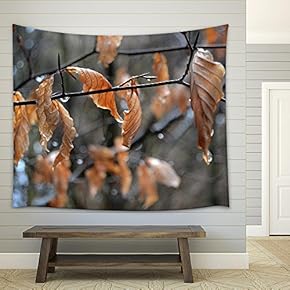 Raindrops on Tree Branches - Fabric Wall Tapestry Home Decor - 51x60 inches