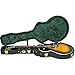 Silver Creek Vintage Hardshell Shallow Hollowbody Electric Guitar Case (Black Tolex Exterior, Crushed Emerald Velvet Interior)
