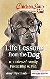 Chicken Soup for the Soul: Life Lessons from the Dog: 101 Tales of Family, Friendship & Fun by 