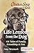 Chicken Soup for the Soul: Life Lessons from the Dog: 101 Tales of Family, Friendship & Fun