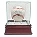 Steiner Sports Glass Single Baseball Case