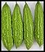By Seeds and Things "Mara" Chinese Bitter Gourd Melon Goya-niga-reishi, Tsuru Reisha 15 Seeds
