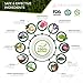 [UPGRADED 2018] True Kaizen Premium Lavender Green Tea Rose & Ginger Foot Patch Pads, 2-in-1 Strong Adhesive, 100% Natural Ingredients, FDA Approved - Improve Sleep & Relief - eBook Included – 20 Pack