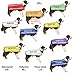 Deaf Dog Dexil Friendly Dog Collars Color Coded Dog Accident Prevention Leash 6ft/1.8m Prevents Dog Accidents by Letting Others Know Your Dog in Advance Award Winning