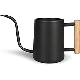 Watering Can for Indoor Plants, 35 oz/1000 ml Metal Stainless Steel Pot with Long Spout for House Plants Bonsai Outdoor Garden Flower Decorative (Black)