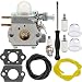 Dalom 753-06190 Carburetor w Carb Adjustment Tool for Troy Bilt TB22 TB21EC TB22EC TB32EC TB42EC TB80EC TB2040XP Trimmer Weed Eater Murray M2500 M2510 Brushcutter primary
