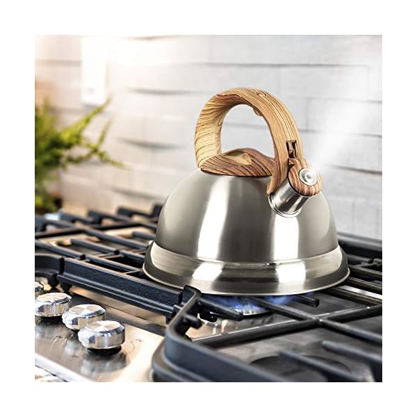 Whistling Tea Kettle with 5 Layer Bottom, 2.4 Quarts, Brushed Stainless