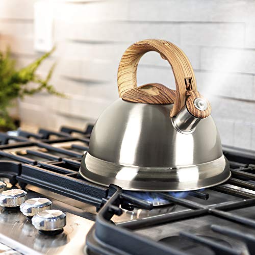 Whistling Tea Kettle with 5 Layer Bottom, 2.4 Quarts, Brushed Stainless