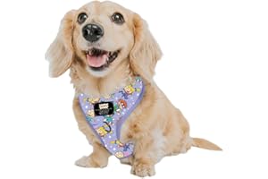 Sassy Woof Dog Adjustable Harness - Nickelodeon Rugrats™ - XS, Breathable Mesh, No Pull Design with Two D-Rings, Patented Design, Perfect for Small Dogs and Puppies - Officially Licensed
