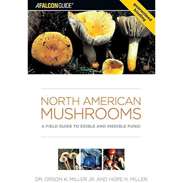 North American Mushrooms A Field Guide To Edible And Inedible Fungi Falconguide 1st Miller Jr Dr Orson K Amazon Com