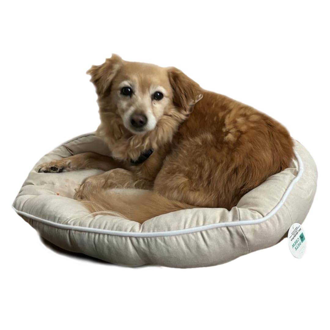 PETS CREW Small Pet Bed - Quality Comfy Cushions for Dogs and Cats (Beige) 48 L x 48 W x 21 H CM