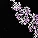 Gbell Clearance! Charm Wedding Bridal Crystal Necklace Earrings Jewelry Set Fine Rhinestone Women's Prom Jewelry Statement (Purple)