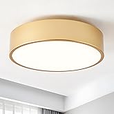 Wuyaio Modern Flush Mount Ceiling Light, 2-Light Round Gold, 11.8" Acrylic Shade for Bedroom, Kitchen, Living Room