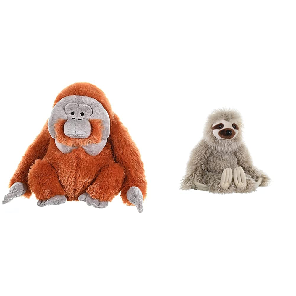 Wild Republic Male Orangutan Plush Soft Toy, Cuddlekins Cuddly Toys, Gifts for Kids 30 cm,Brown & 12257 Sloth Plush, Soft Toy, Cuddlekins, Grey, 30 cm