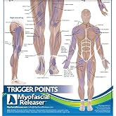 Myofascial Releaser Two Trigger Point Anatomy Maps, Wall Posters | Laminated Poster for Reference by Massage Therapists, Physical Therapists, Chiropractors, Trainers - Pressure Point Chart
