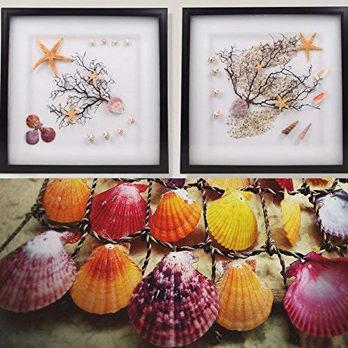 135 PCS Mini Sea Shells Mixed Beach Seashells Starfish, Colorful Natural Seashells Perfect Accents for Candle Making,Home Decorations, Beach Theme Party Wedding Décor, Fish Tank and Vase Fillers