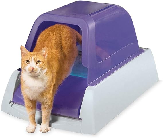 petco top entry litter box