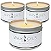 Scented Candles - Attraction, Adventure & Excitement (Pack of 3) Soy Wax Aromatherapy, 8oz