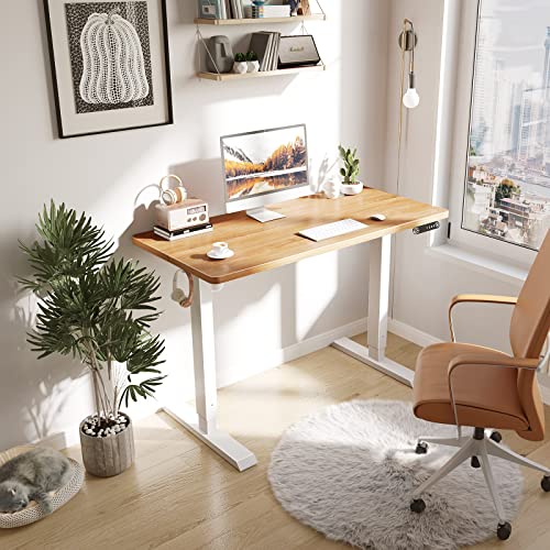 KKL Height Adjustable Electric Standing Desk, 48 x 24 Inches Sit Stand