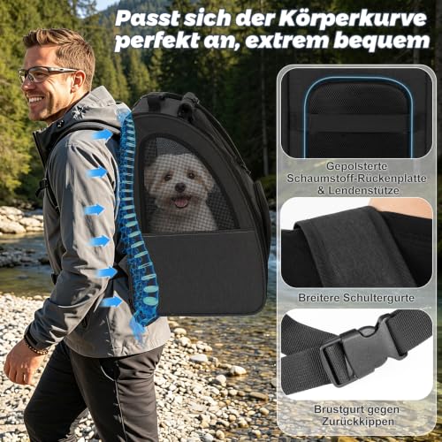 Aystkniet Cat Backpack & Dog Backpack up to 6 kg, Large Pet Transport Bag with 270° Ventilation, 3 Openings, Foldable, Breathable for Travel, Hiking, Plane & Veterinarian