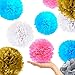 Blue 'N Blum Tissue Paper Pom Poms Decorations - Paper Flower - Party Decoration - Banner Happy Birthday for Party - Baby Shower - (12 pcs 12