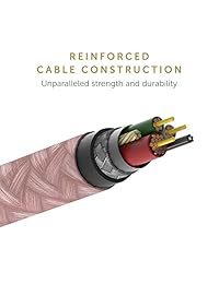 Native Union Belt Cable XL - Cable de carga ultrarresistente reforzado de 9.8 ft [Apple MFi certificado] Cable de carga Lightning a USB con correa de piel para iPhone iPad