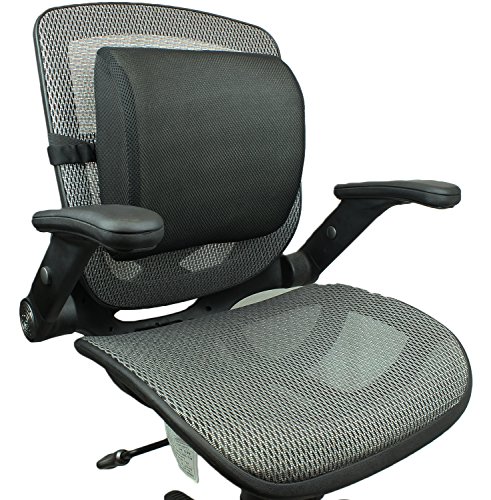 Lumbar Support Back Cushion Pillow for Backrest in Office Chairs and Car Seats by bogo Brands