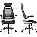 OWLN Ergonomic High Back Mesh Office Chair with Adjustable Armrest Swivel Computer Task Chair