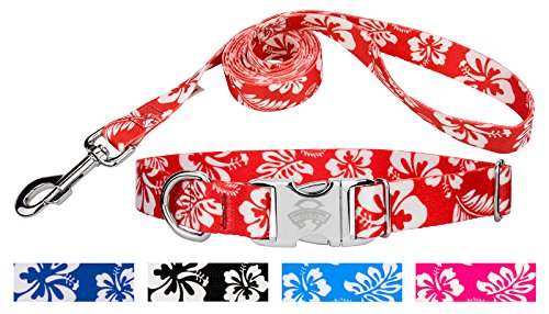 Country Brook Design Red Hawaiian Premium Dog Collar & Leash - Medium