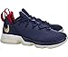 Nike Lebron XIV Low Mens Basketball Shoes