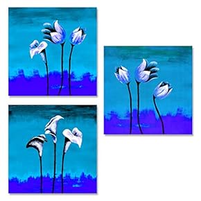 Canvas Wall Art Beautiful Pictures Collections Painting Artwork for Home Prints Framed - 12"x12"x3 Panels