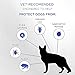 Flea And Tick Collar For Dogs | Prevents And Removes Fleas, Ticks, Lice And Mosquitos In 24 Hours | 8 Months Protection | 100% Natural Essential Oil Flea And Tick Prevention For Dogs