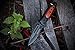 TAC Force TF-637 Series Assisted Opening Folding Knife, Black Half-Serrated Blade, 4-1/2-Inch Closed