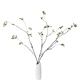 Funsveta 3pcs Artificial Ficus Branches Greenery for Vase, Faux Silky Eucalyptus Stems, Tree Twig for Home, Office, Banquet Decor (A-Green)