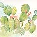 Roaring Brook Lovely Watercolor-Style Desert Cactus Print Set by Cynthia Coulter; Three 12x12in Unframed Paper Posters