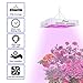 LED Grow Light Full Spectrum 300w,Elaine Indoor Plant Grow Light with UV&IR for Greenhouse Hydroponic Plant Succulents Seedlings Veg and Flower