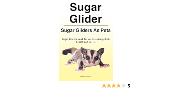 sugar glider costs