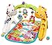 Fisher-Price Newborn-to-Toddler Play Gym, Rainforest