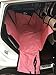 HAOCOO Pet Seat Cover Waterproof and Washable for Cars, SUV, Vans & Trucks (Pink Flower)