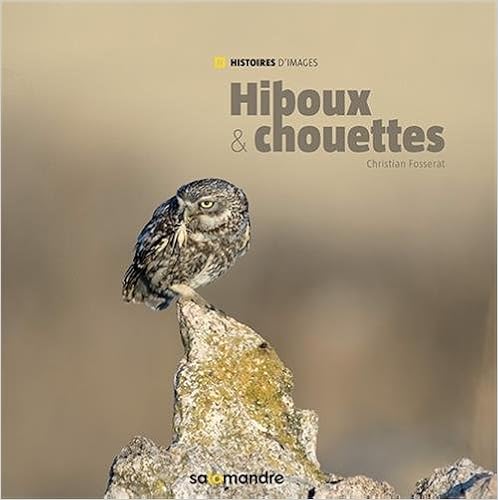 hiboux-et-chouettes-fosserat