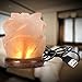 Hymilian Sea Salt Lamp - Himalayan Pink Rose Hand Carved Glow Rock Salt Lamps With Wood Base Included USB Electric Wire & Multi Color Changing LED Light - Mini Air Purifier For Office Home Hotel Yoga