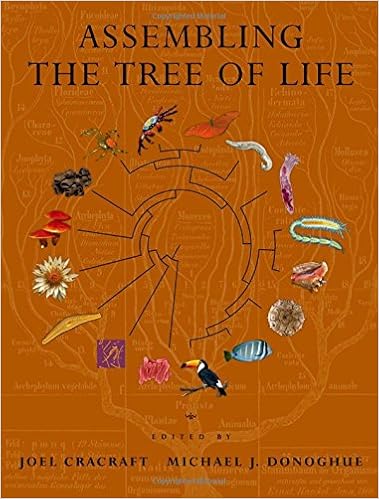 Amazon Com Assembling The Tree Of Life 9780195172348 Joel